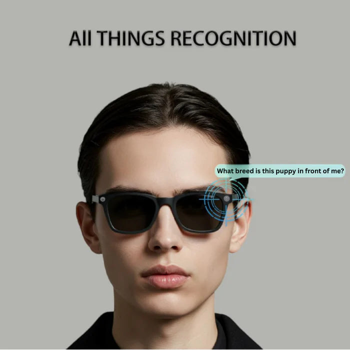 AI Smart Glasses, Built-In Camera, ChatGPT - SmartView Pro